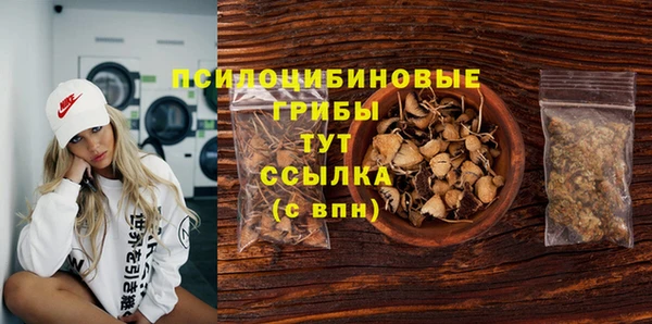 соль ск Верхний Тагил