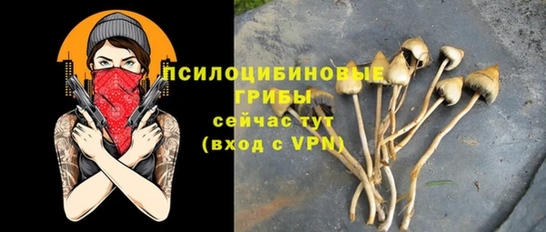 соль ск Верхний Тагил